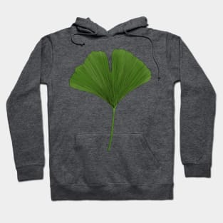 Ginkgo Leaf Hoodie